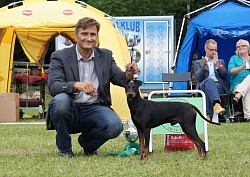 Best In Show 4