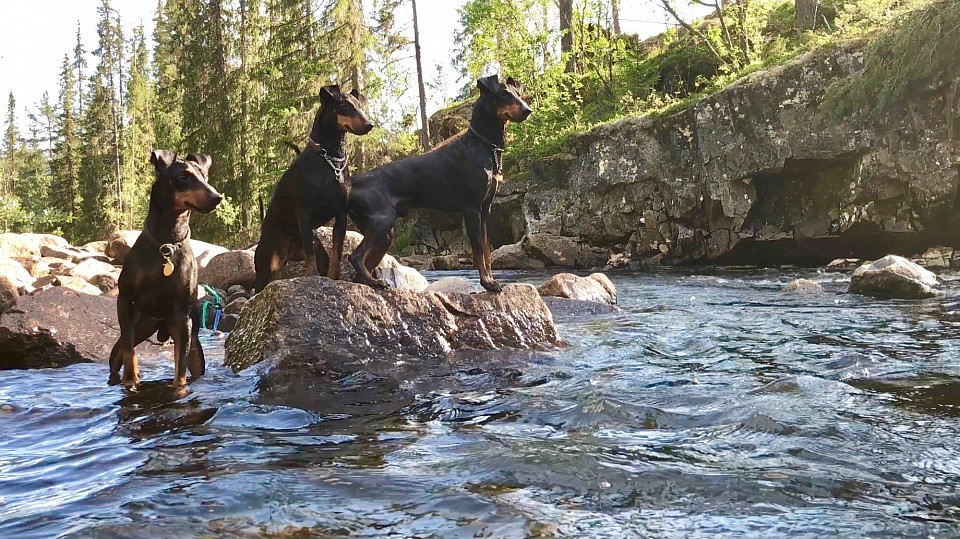 By the river in the mountains