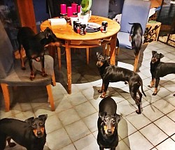 Kitchen helpers