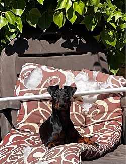 Gustav working on the tan in Spain