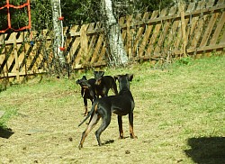 Fun outside the cabin