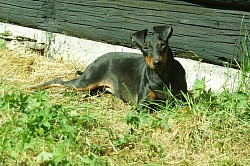 Stacy suntanning