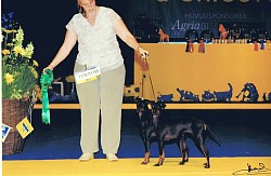 Best Brace 4 at the World Dog Show, 2008