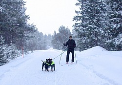 Skiing