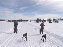 Skiing