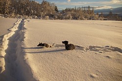 Snow can be fun